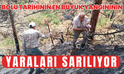 Bolu tarihinin en büyük yangınının yaraları sarılıyor