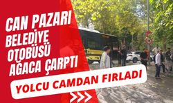 Can pazarı...Belediye otobüsü ağaca çarptı, yolcu camdan fırladı