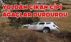 Yoldan çıkan cipi ağaçlar kurtardı