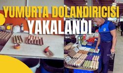 Yumurta Dolandırıcısı Yakalandı