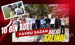 10 BİN ADET YAVRU SAZAN BALIĞI SALINDI