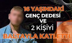 16 yaşındaki genç dedesi ve 2 kişiyi baltayla katletti