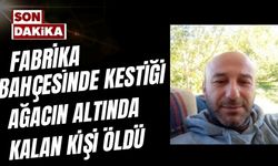 FABRİKA BAHÇESİNDE KESTİĞİ AĞACIN ALTINDA KALAN KİŞİ ÖLDÜ