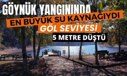 GÖYNÜK YANGININDA EN BÜYÜK SU KAYNAĞIYDI, GÖL SEVİYESİ 5 METRE DÜŞTÜ