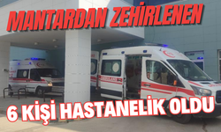 Mantardan zehirlenen 6 kişi hastanelik oldu