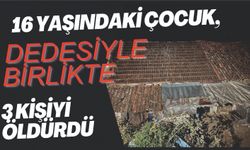 16 yaşındaki çocuk, dedesiyle birlikte 3 kişiyi öldürdü