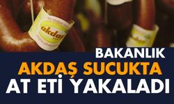 Bakanlık Akdaş sucukta at eti yakaladı