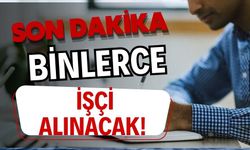 Binlerce işçi alınacak!