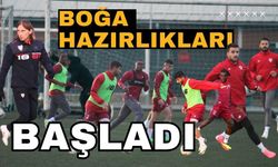 Boğa Hazırlıkları Başladı