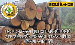 BOLU ORMAN İŞLETME MÜDÜRLÜĞÜ ÇELEGÖLCÜK ORMAN DEPOSU İSTİF HİZMET ALIMI İŞİ