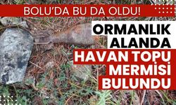 BOLU’DA BU DA OLDU!  ORMANLIK ALANDA TOPU MERMİSİ BULUNDU