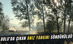 Bolu'da çıkan anız yangını söndürüldü