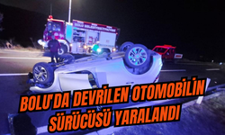 Bolu'da devrilen otomobilin sürücüsü yaralandı