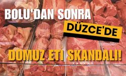 Bolu'dan sonra Düzce'de domuz eti skandalı!