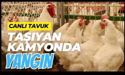 Canlı tavuk taşıyan kamyonda yangın