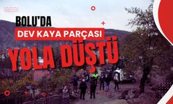 Dev kaya parçası yola düştü