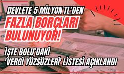 DEVLETE 5 MİLYON TL'DEN FAZLA BORÇLARI BULUNUYOR!  İŞTE BOLU'DAKİ 'VERGİ YÜZSÜZLERİ' LİSTESİ AÇIKLANDI