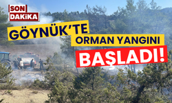 Göynük'te orman yangını başladı