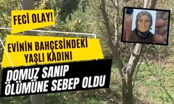 Evinin bahçesindeki yaşlı kadını, domuz sanıp ölümüne sebep oldu