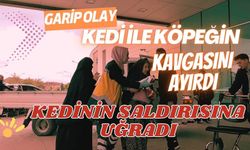 Garip olay: Kedi ile köpeğin kavgasını ayırdı, kedinin saldırısına uğradı