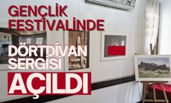 Gençlik festivalinde Dörtdivan sergisi açıldı