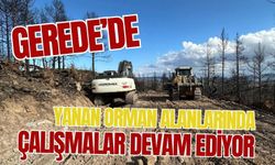 Gerede’de yanan orman alanlarında çalışmalar devam ediyor