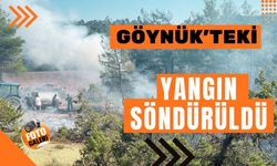 Göynük'teki yangın söndürüldü