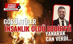 "İnsanlık ölmüş" dedirten görüntüler, yanarak can verdi