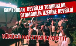 Kamyondan devrilen tomruklar otomobilin üzerine devrildi: Sürücü hayatını kaybetti