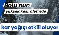 Bolu'nun yüksek kesimlerinde kar yağışı etkili oluyor