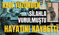 Kedi yüzünden silahla vurulmuştu, hayatını kaybetti