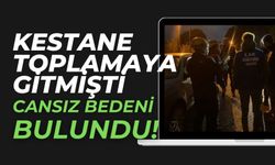 Kestane toplamaya diye evinden çıkmıştı, cansız bedeni bulundu