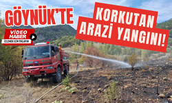 Göynük'te korkutan arazi yangını!