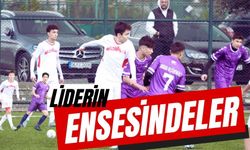 Liderin ensesindeler