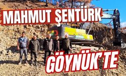 MAHMUT ŞENTÜRK GÖYNÜK’TE