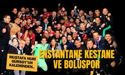 ENSTANTANE KESTANE VE BOLUSPOR