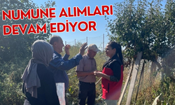 Numune alımları devam ediyor