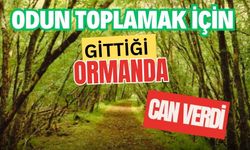 Odun toplamak için gittiği ormanda can verdi