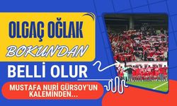 OLGAÇ OĞLAK BOKUNDAN BELLİ OLUR