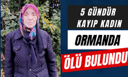 5 gündür kayıp kadın ormanda ölü bulundu