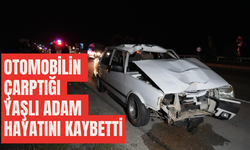 Otomobilin çarptığı yaşlı adam hayatını kaybetti