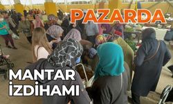 Pazarda mantar izdihamı