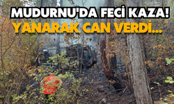 Mudurnu'da feci kaza! Yanarak can verdi...