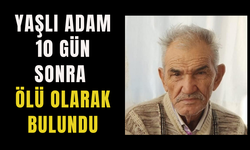 Yaşlı adam 10 gün sonra ölü olarak bulundu