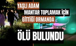 Yaşlı adam, mantar toplamak için gittiği ormanda ölü bulundu