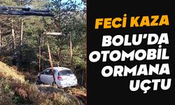 Yedigöller yolunda otomobil, ağaçlık alana uçtu: 2 yaralı