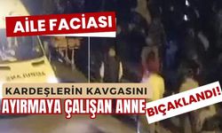 Aile faciası: Kardeşlerin kavgasını ayırmaya çalışan anne bıçaklandı!