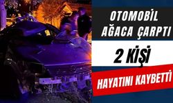 OTOMOBİL AĞACA ÇARPTI: 2 KİŞİ HAYATINI KAYBETTİ