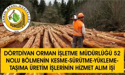 DÖRTDİVAN ORMAN İŞLETME MÜDÜRLÜĞÜ 152 NOLU BÖLMENİN KESME-SÜRÜTME-YÜKLEME-TAŞIMA ÜRETİM İŞLERİNİN HİZMET ALIM İŞİ