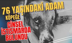 76 yaşındaki adam köpeğe cinsel istismarda bulundu